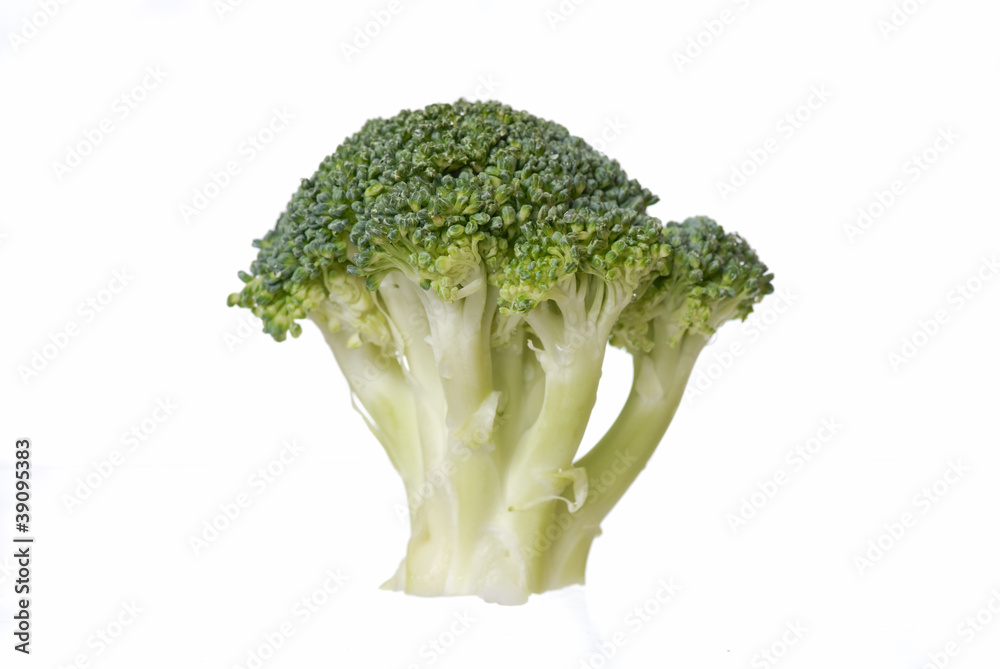 Brocolli Isolated on White Background. Brocolli Isolated on White Background.