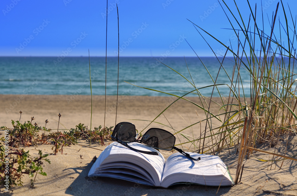 Obraz premium Lecture à la plage