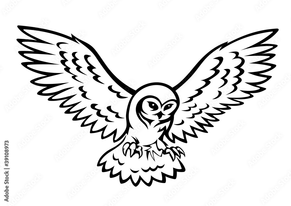 Naklejka premium Flying owl
