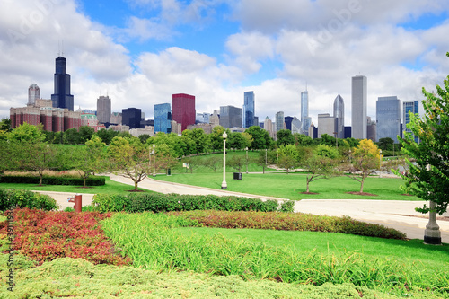 Chicago skyline over park