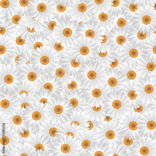 Seamless pattern of white camomiles