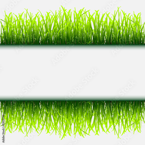 Green grass frame