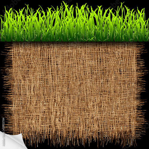 Eco background with green grass