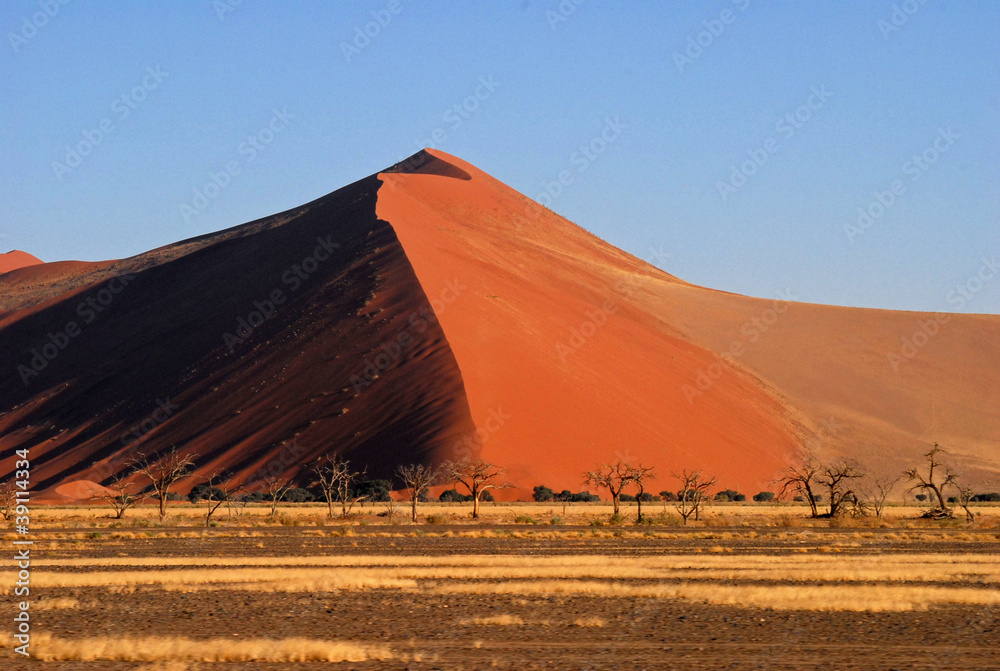 désert de Namibie7