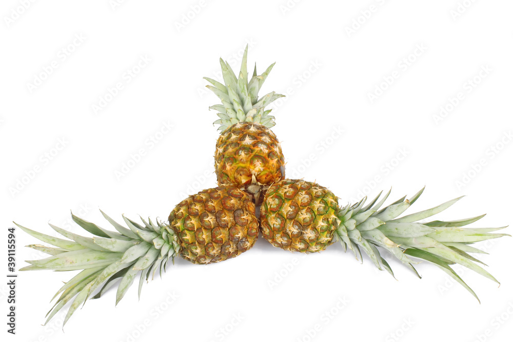 Fototapeta premium pineapple