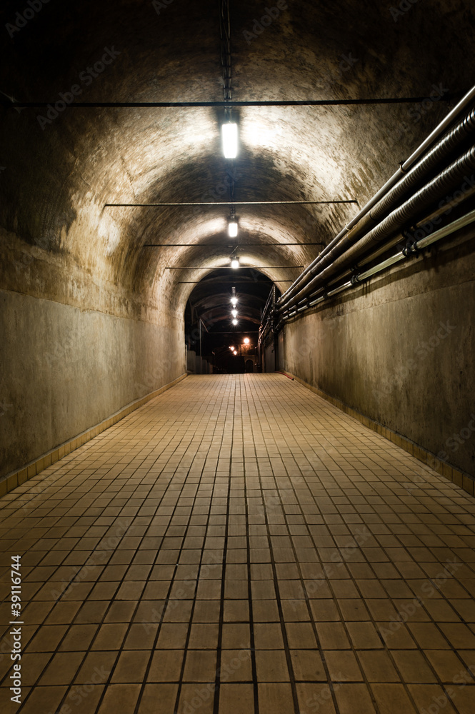 Fototapeta premium Ciemny tunel