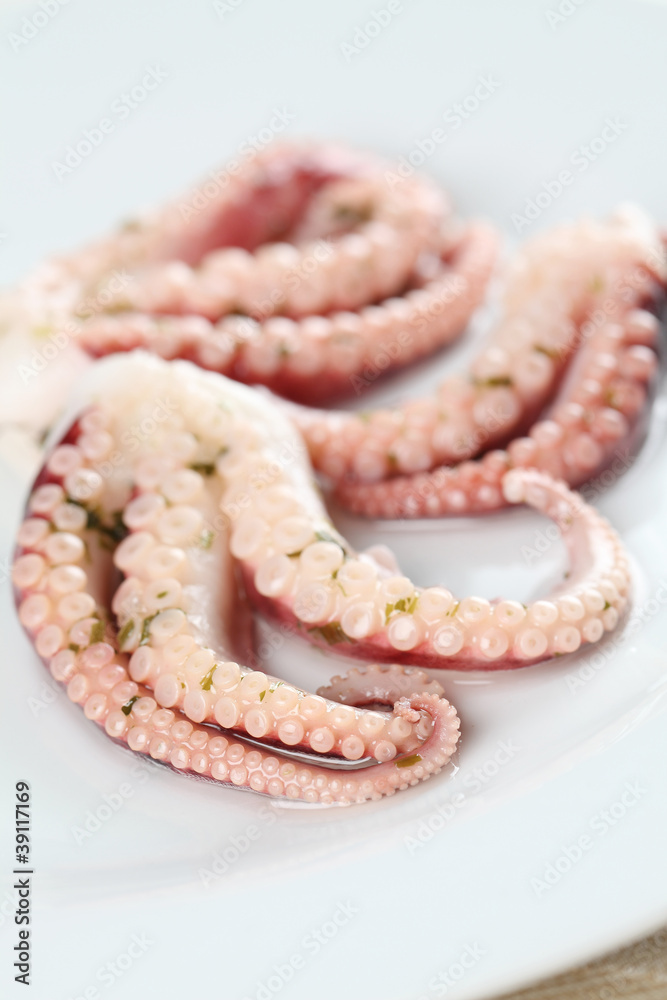 Octopus