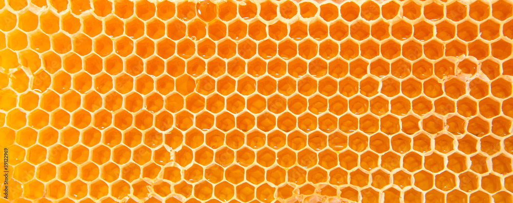 Beer honey in honeycombs. Beer honey in honeycombs.