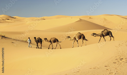 camel caravan in Merzouga, Sahara desert, Morocco