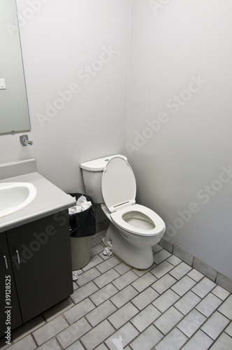 Toilet in Office Washroom