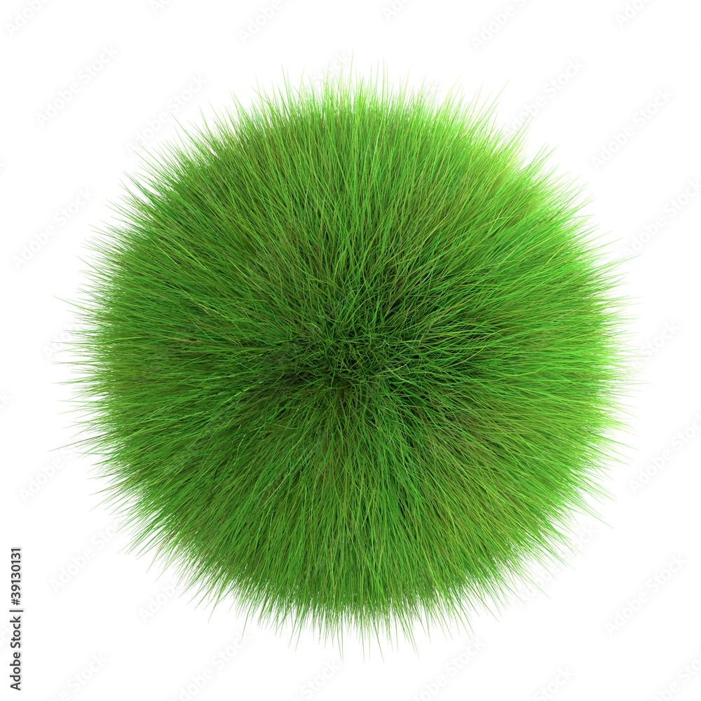 Boule d'herbe sur fond blanc Boule d'herbe sur fond blanc