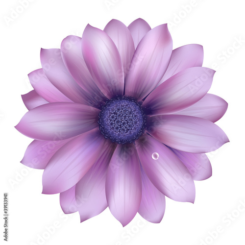 Fototapeta Naklejka Na Ścianę i Meble -  Lilac Flower With Water Drop