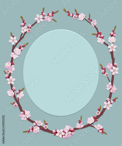 Frame of apricot flowers