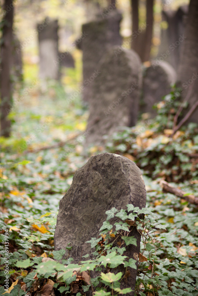 Old Jewish cemetery
