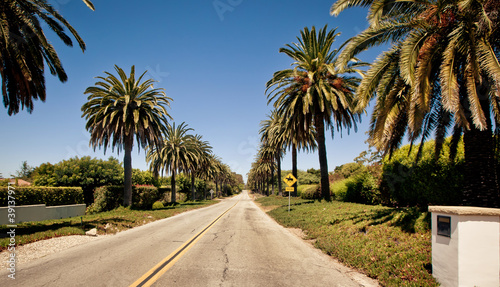 Palm road in Santa Barbara