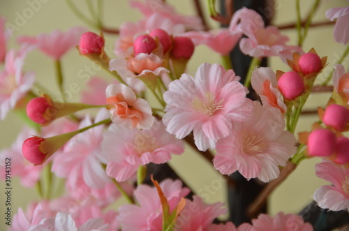 ひな飾りの桃の花 © tomo