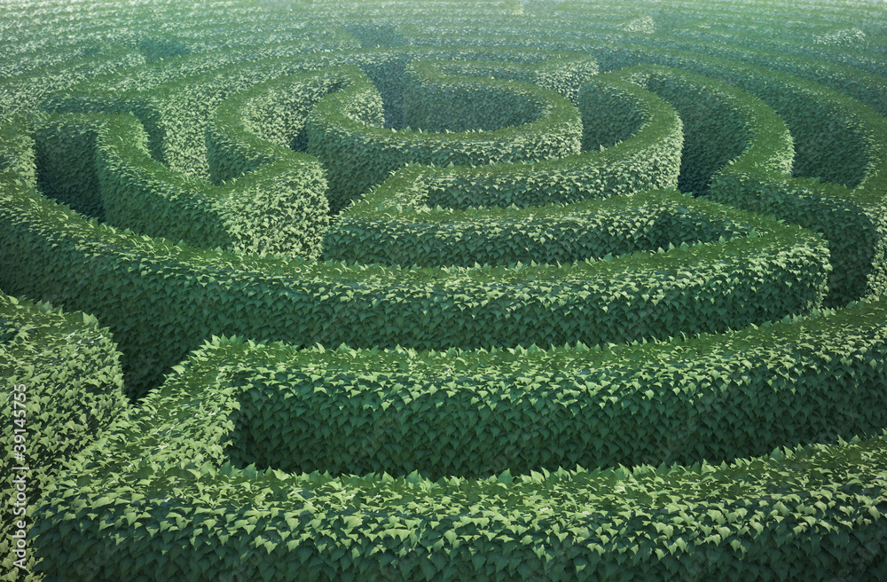 Garden maze