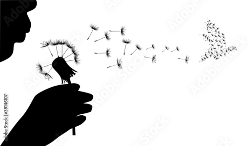human and dove from dandelion seeds
