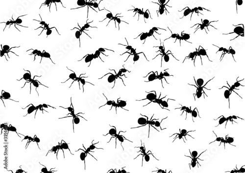 background with isolated ants