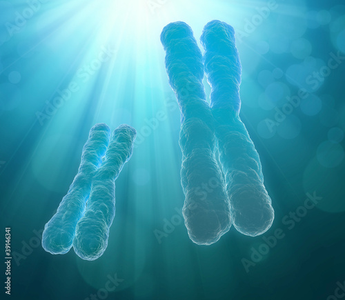 Chromosome © Mopic