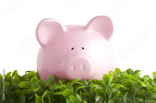 Pink piggy bank isolated on white on grass