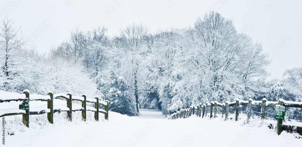 Naklejka premium Path through English rural countryside in Winter with snow