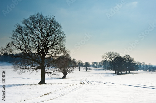 Winter rural countryside la...