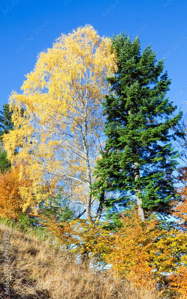 Autumn  mountain Nimchich pass