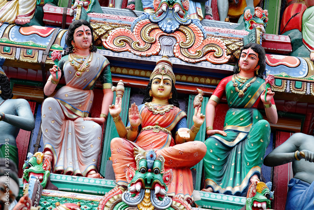 Fototapeta premium statue in hindu temple