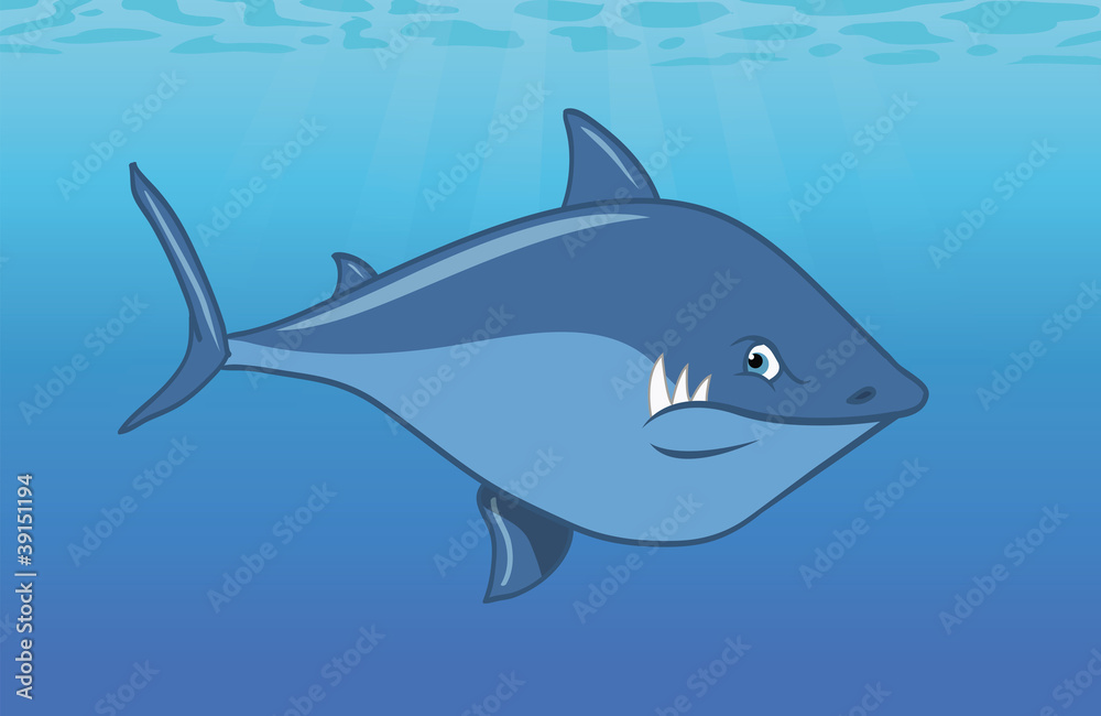 Naklejka premium shark Great White swimming ocean