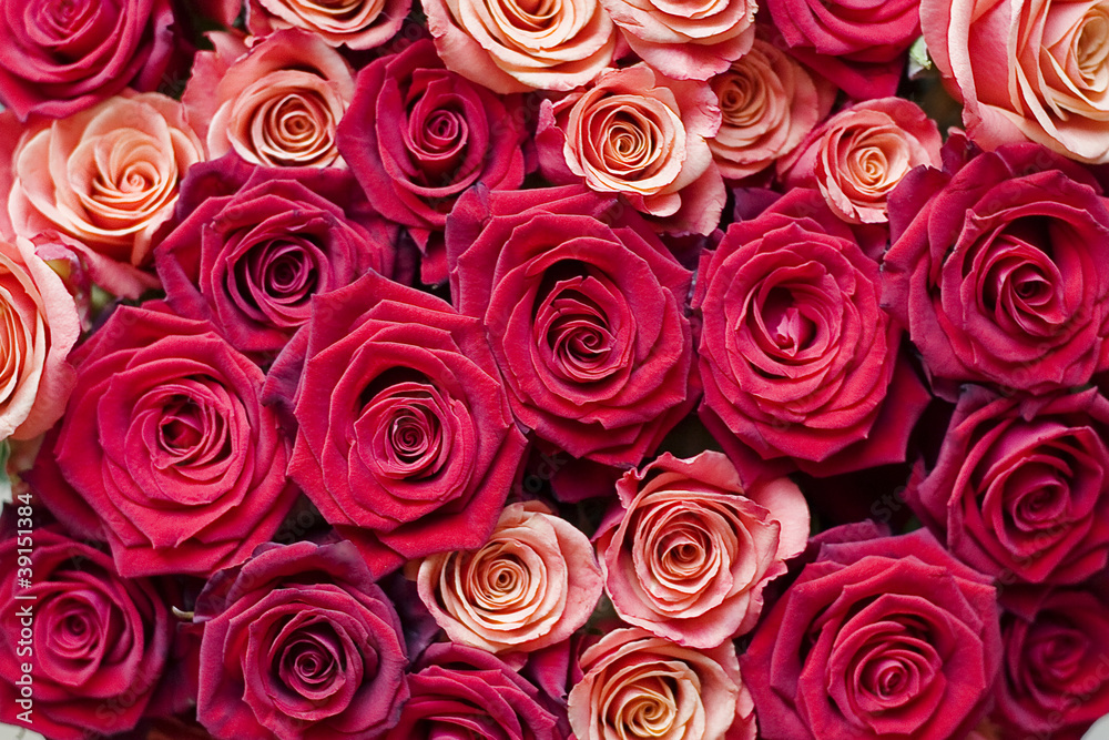 Big bunch of red roses Big bunch of red roses