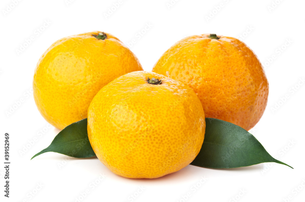 fresh orange mandarin fresh orange mandarin