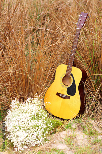 acoustic guitar and flower in  dried grass field
