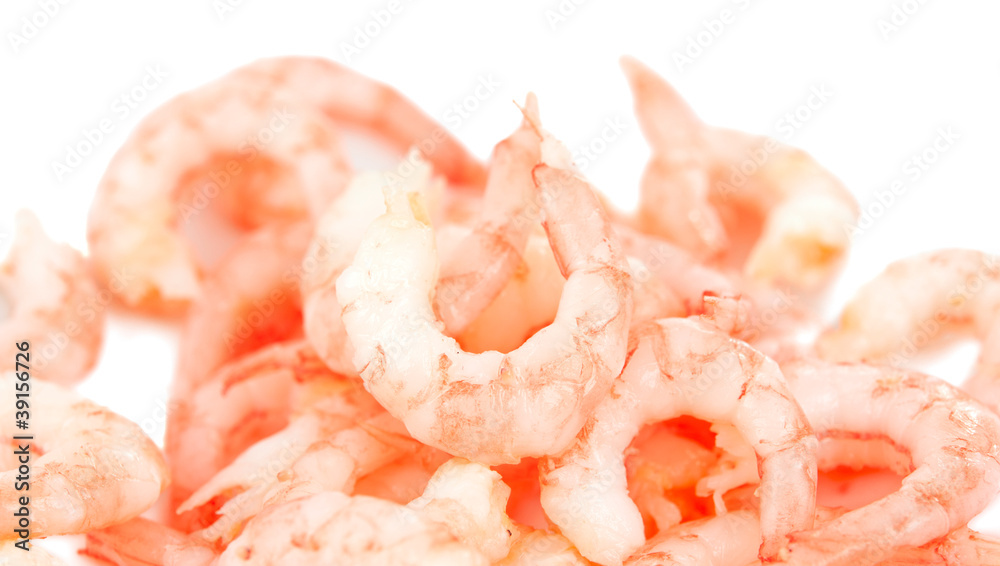 shrimp meat isolated shrimp meat isolated