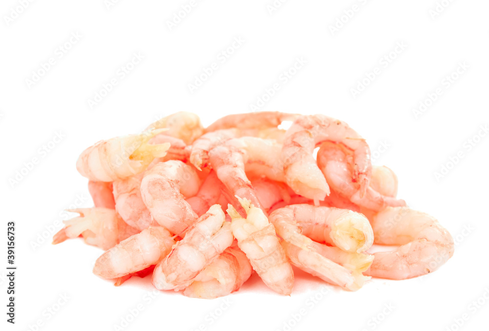 shrimp meat isolated