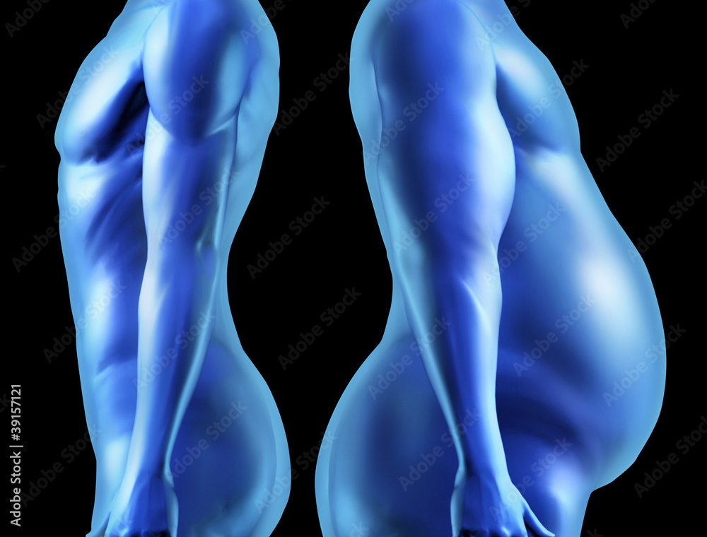Human Body Shape Comparison Human Body Shape Comparison