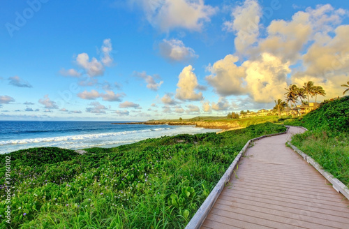 Maui, path near the ocean and sunset.