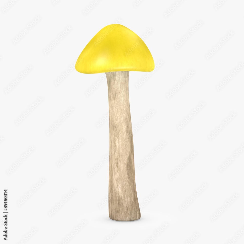 hygrophorus lucorum hygrophorus lucorum
