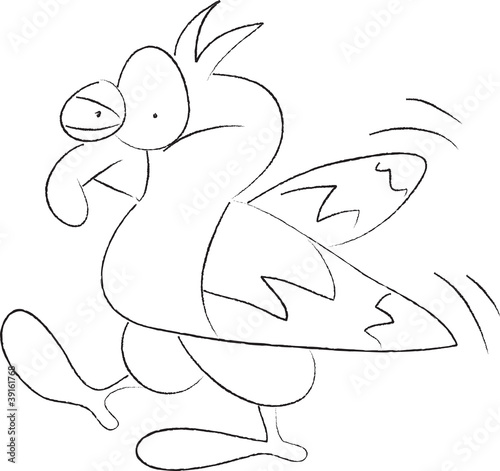 parrot