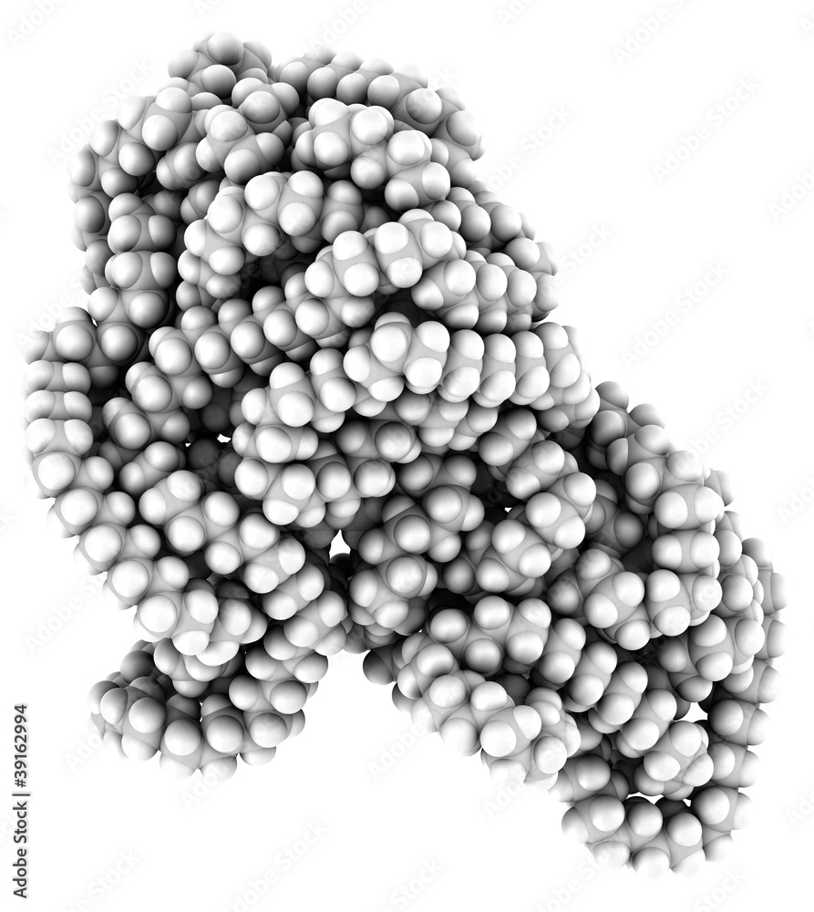 Polyethylene Polyethylene