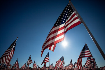 American Flag display commemorating national holiday