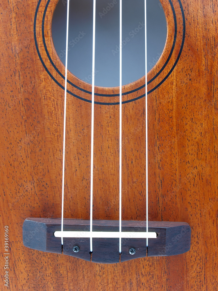 close-up ukulele