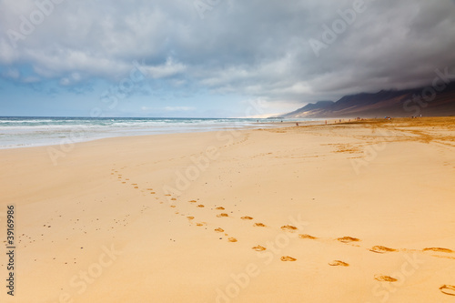 Beautiful ocean beach photo