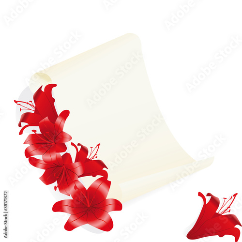 lily with old vellum