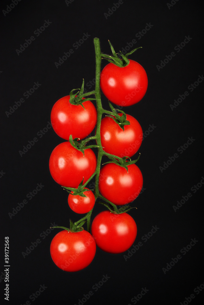fresh and shiny cherry tomatoes on black background fresh and shiny cherry tomatoes on black background