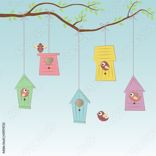Birds Houses with some birds
