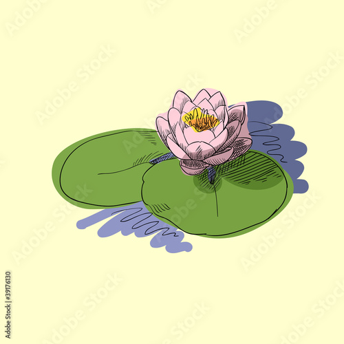 Fototapeta Naklejka Na Ścianę i Meble -  Vector illustration of pink lotus flower