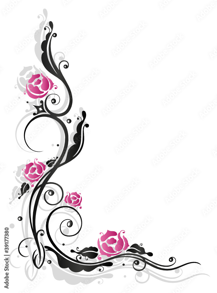 Rosen, Ranke, flora, Blumen, Blüten, schwarz, pink Rosen, Ranke, flora, Blumen, Blüten, schwarz, pink
