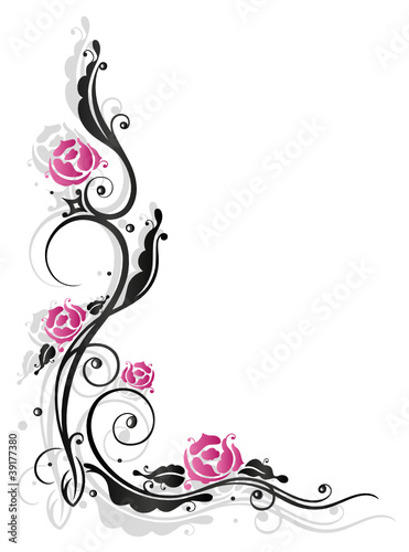Rosen, Ranke, flora, Blumen, Blüten, schwarz, pink