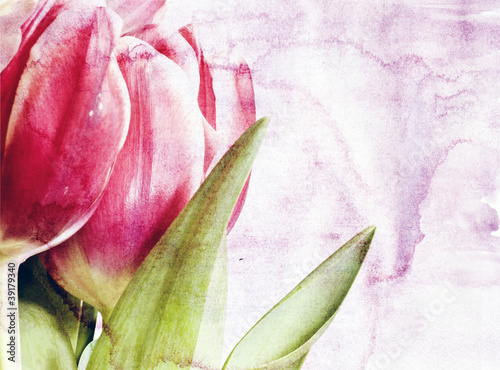 Red tulips over grunge painted background